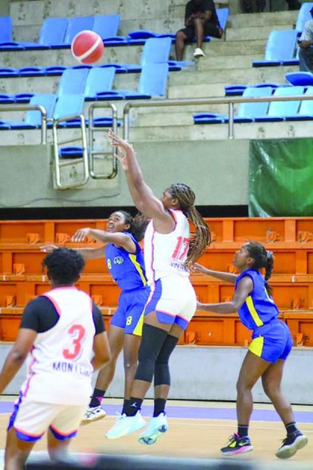 Basketball N1A dames - MB2ALL valide son ticket pour les demi-finales